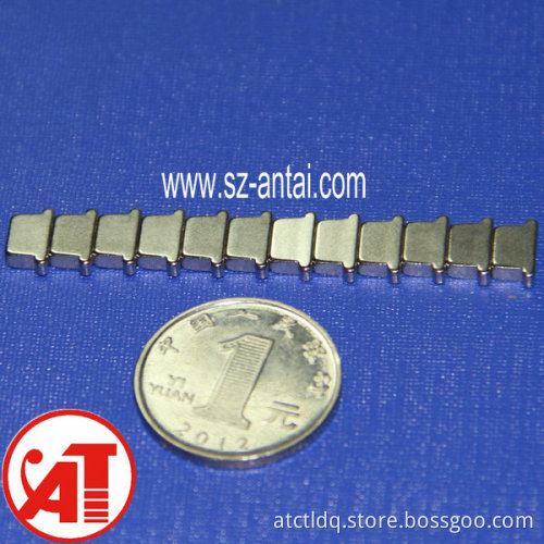 NdFeB Special Shaped Magnets (N40)